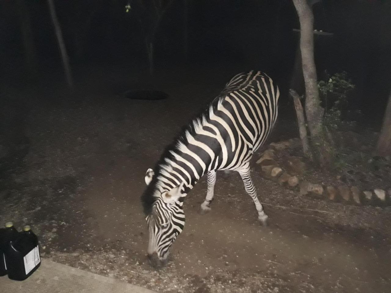 African Sky Holiday home Marloth Park
