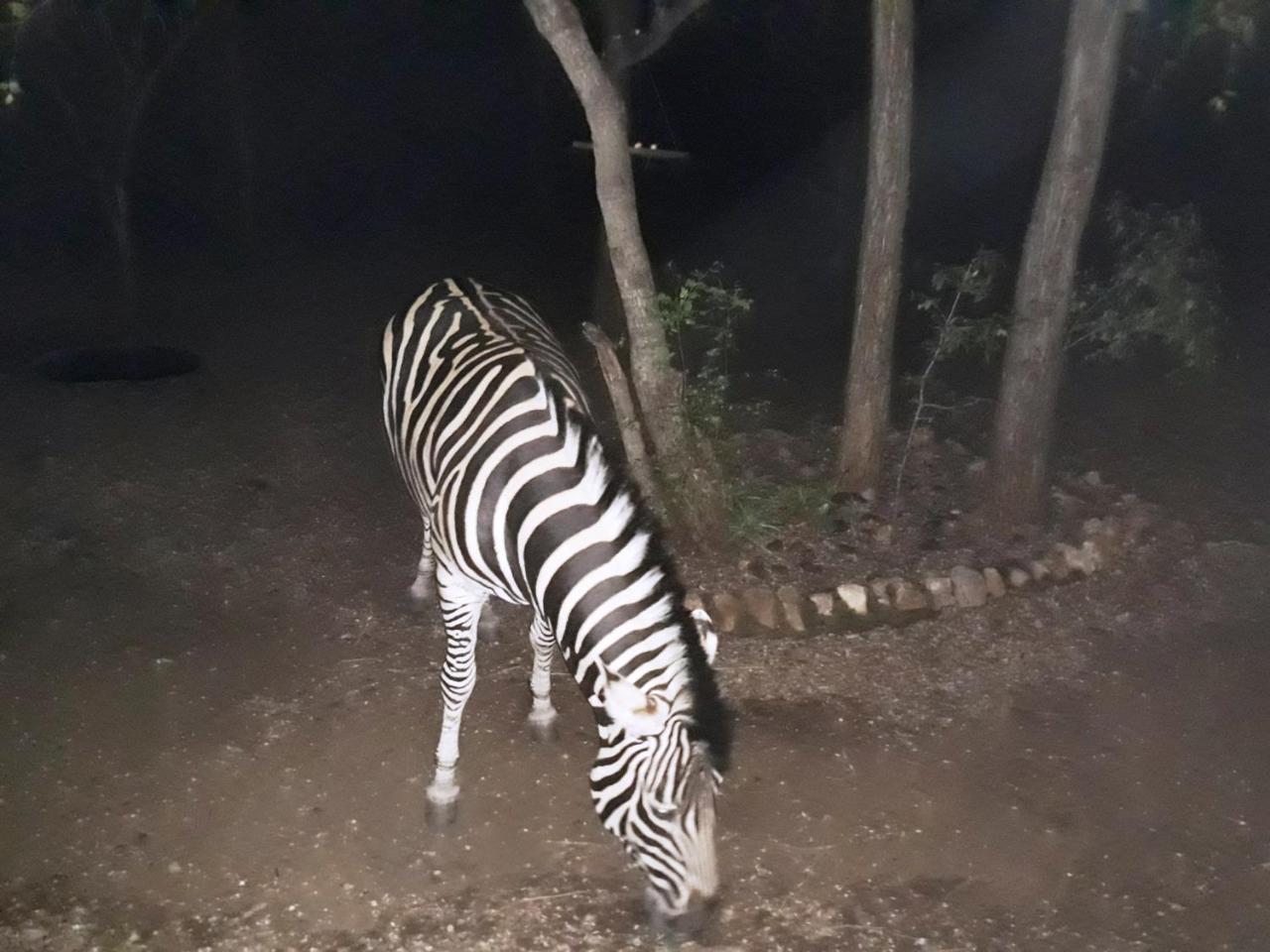Holiday home African Sky Marloth Park